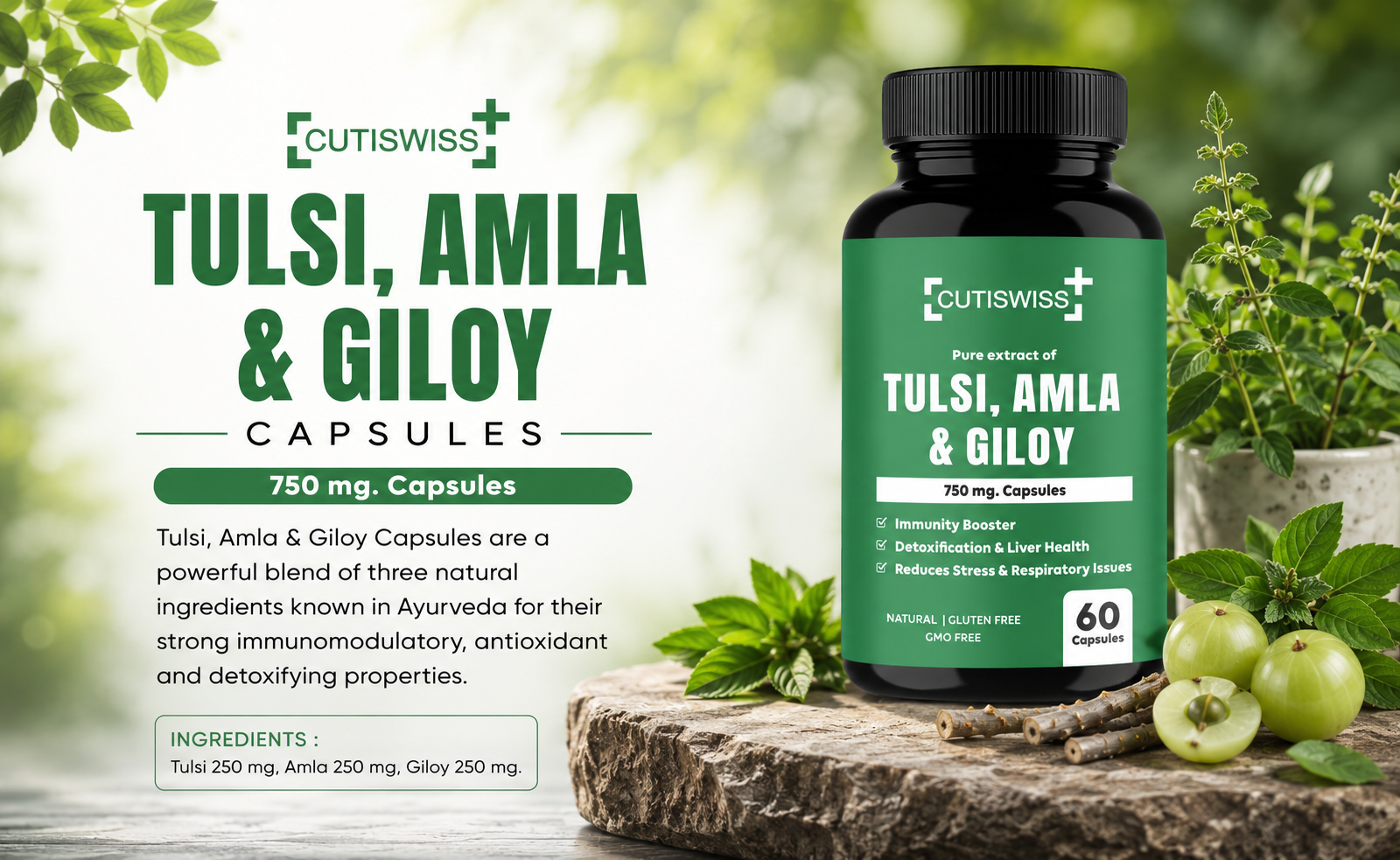 Tulsi Amla Giloy Banner1